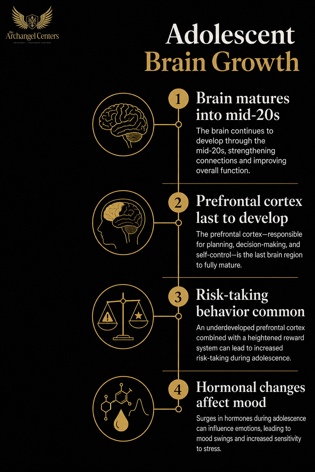 populations / young adults / adolescent brain development