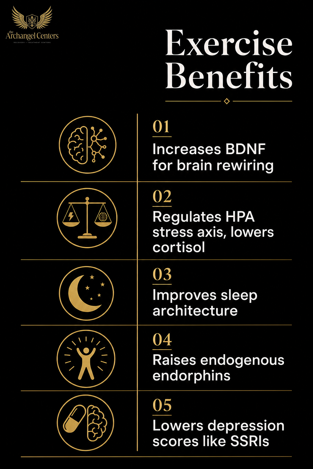 wellness / exercise / what exercise does